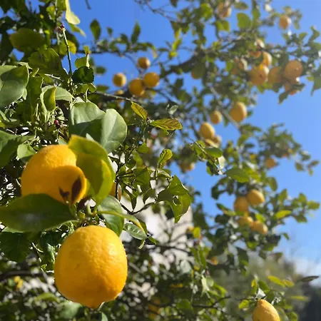 Appartamento Rez De Avec Jardinet Proche De La Hyères